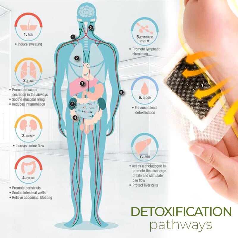 DrVerd™ DetoxPlus Lymphatic Drainage Foot Pads - Image 3