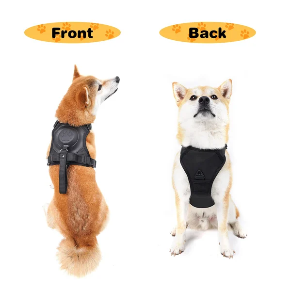 Dog Harness and Retractable Leash Set All-in-One - Image 10