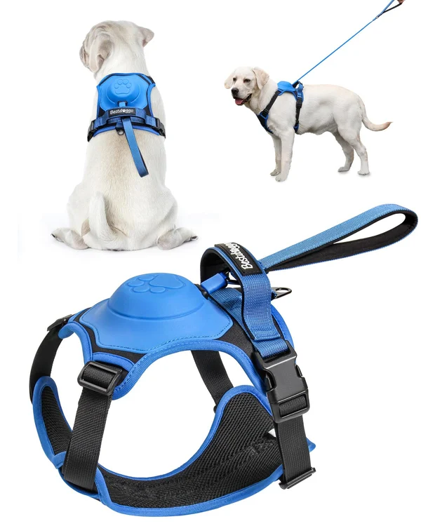 Dog Harness and Retractable Leash Set All-in-One - Image 11