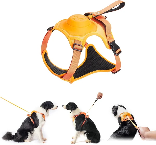 Dog Harness and Retractable Leash Set All-in-One - Image 14