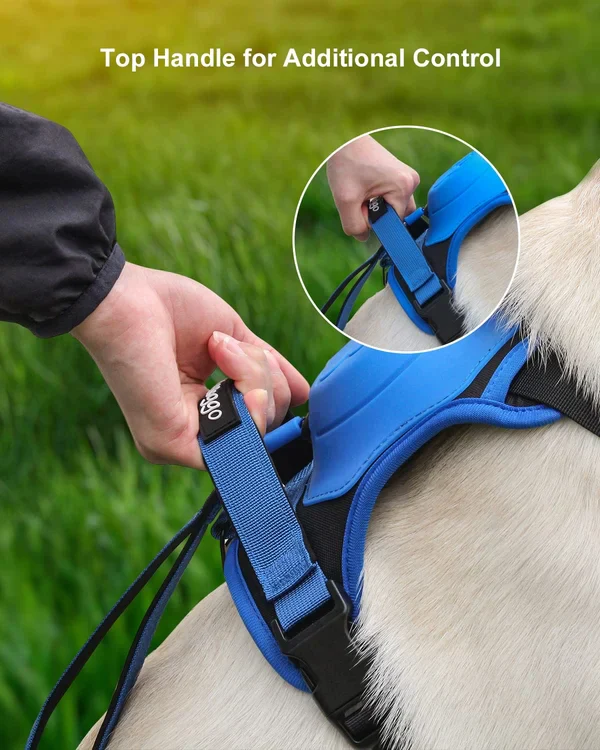 Dog Harness and Retractable Leash Set All-in-One - Image 3