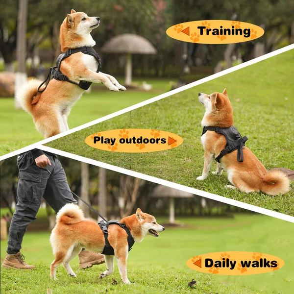 Dog Harness and Retractable Leash Set All-in-One - Image 9