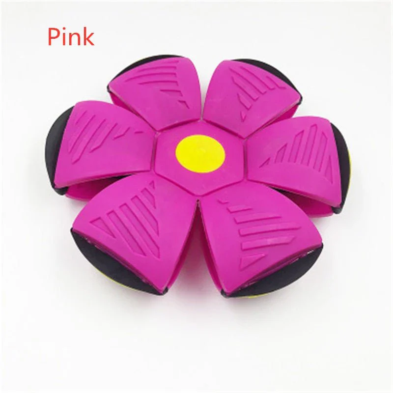 Magic Flying Ball Toy For Kids and Pets - Image 11