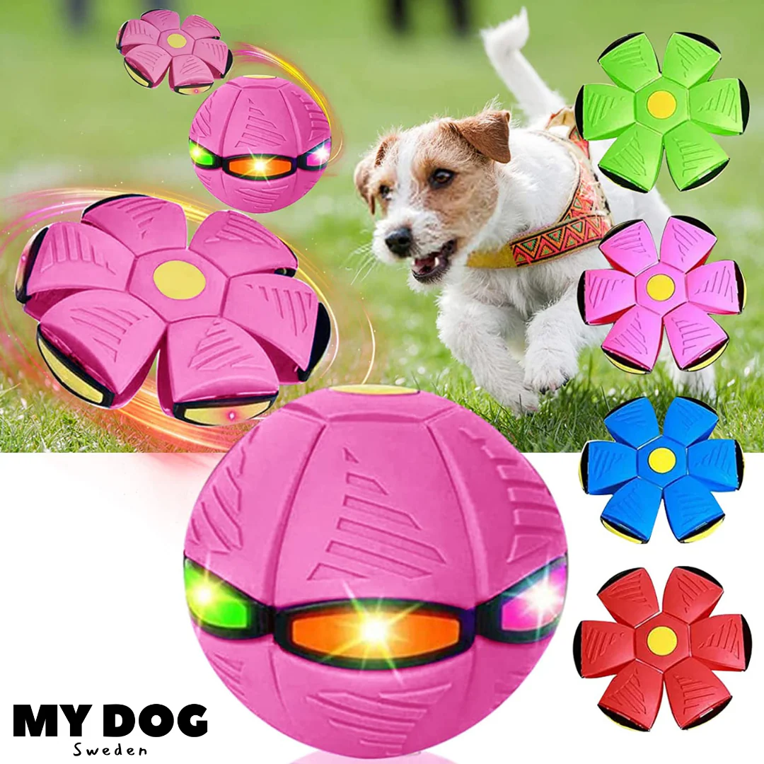 Magic Flying Ball Toy For Kids and Pets - Image 5