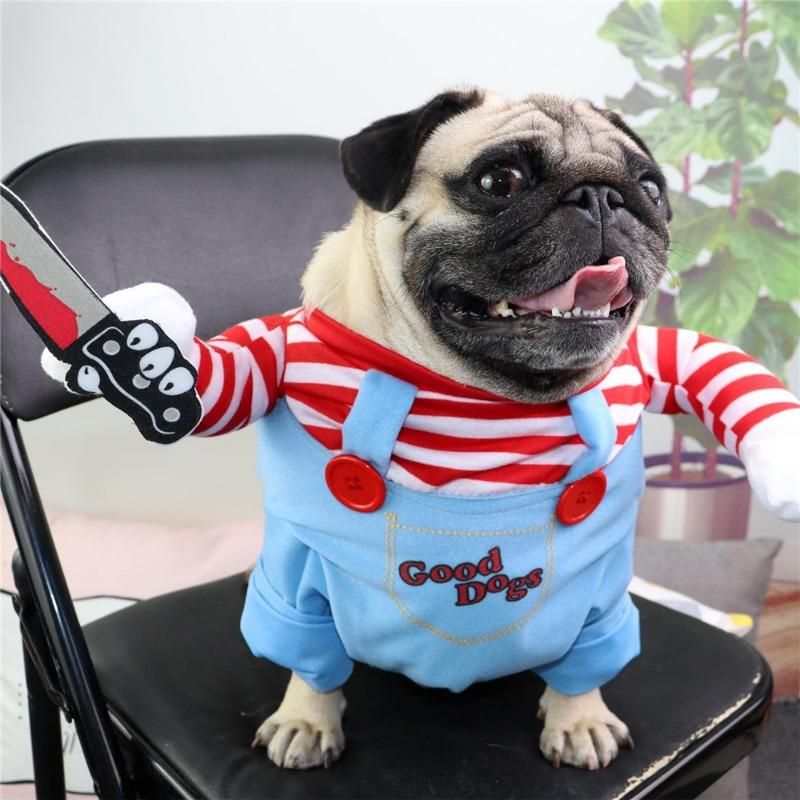 Funny Dog Costume - Image 13