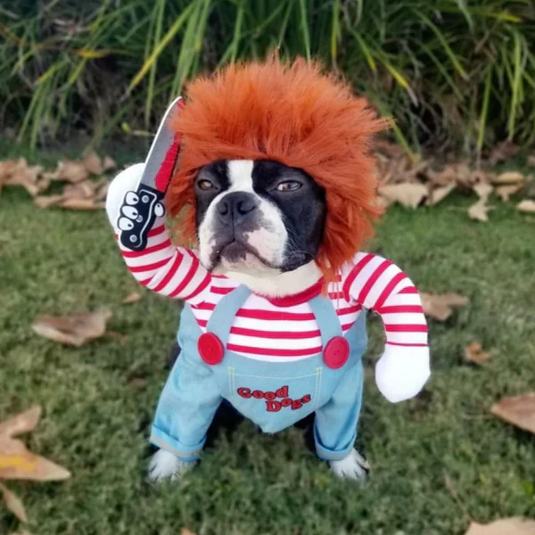 Funny Dog Costume - Image 14
