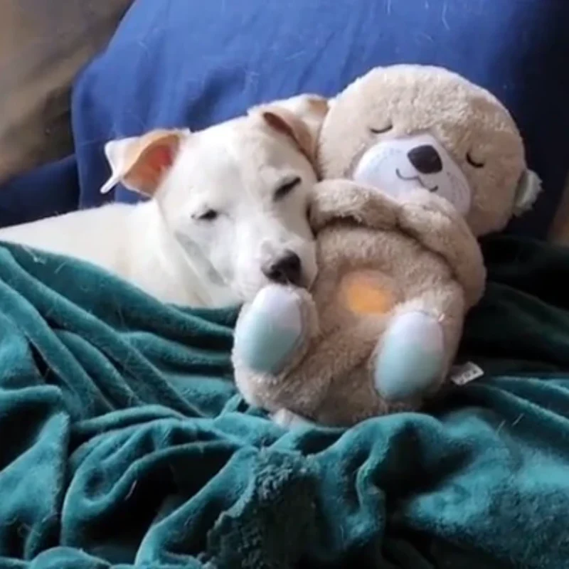 Calming Otter Plush - Image 5