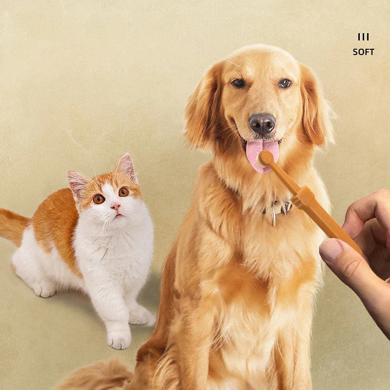 Pet Toothbrush - Image 7
