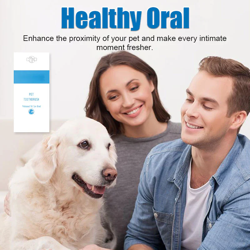 Petcalm™ Nail clipper + Toothbrush Pen - Image 8