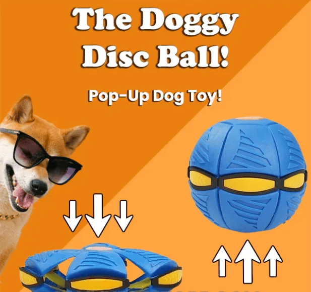 PupGlide – Transforming Disc Ball Toy for Dogs - Image 13