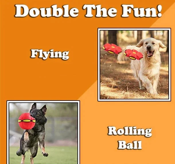 PupGlide – Transforming Disc Ball Toy for Dogs - Image 16