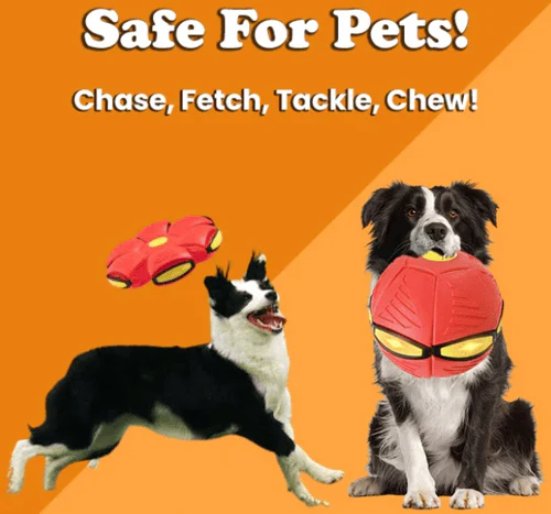 PupGlide – Transforming Disc Ball Toy for Dogs - Image 17