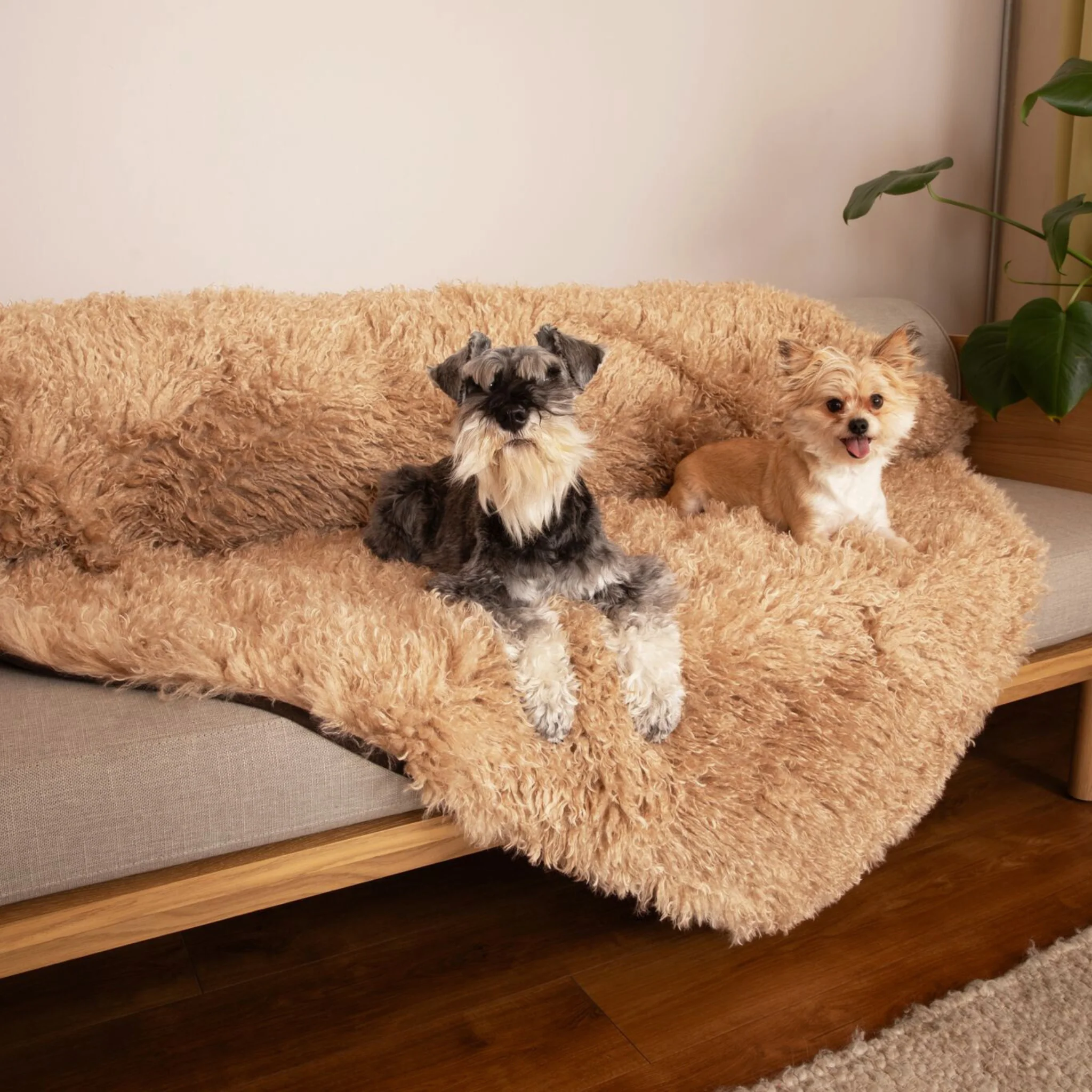 Aprolo™ Luxury Waterproof Pet Blanket & Bed Runner - Image 7
