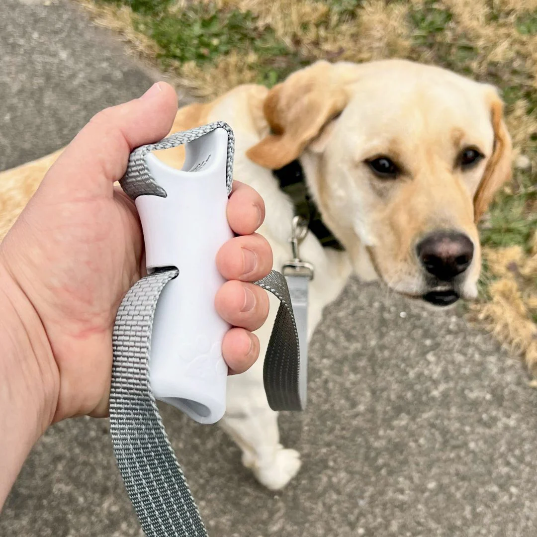 Aprolo™ Quick Control Leash – Lock, Walk, Enjoy - Image 4