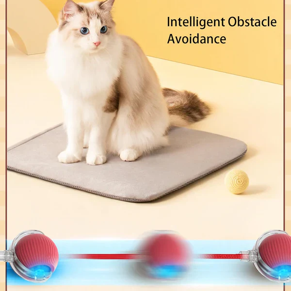 Rollraptor Interactive Pet Toy Ball - Image 3