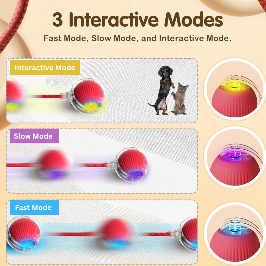 Rollraptor Interactive Pet Toy Ball - Image 4