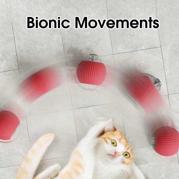 Rollraptor Interactive Pet Toy Ball - Image 5