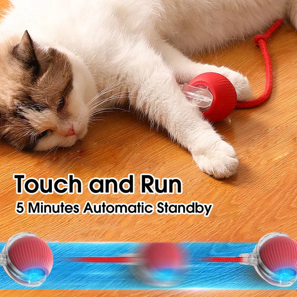 Rollraptor Interactive Pet Toy Ball - Image 6