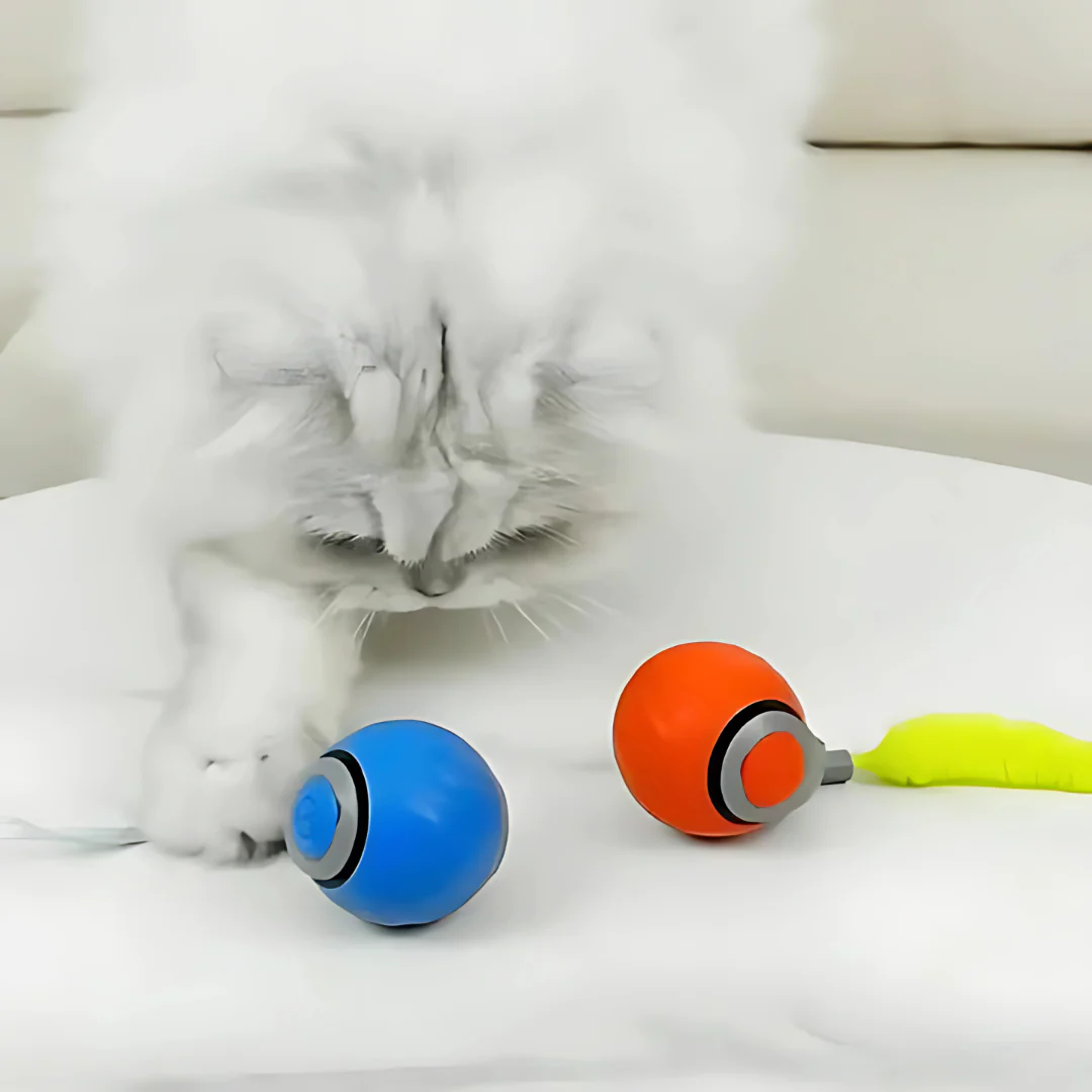Electric Cat Ball with Fun Tail - Image 5