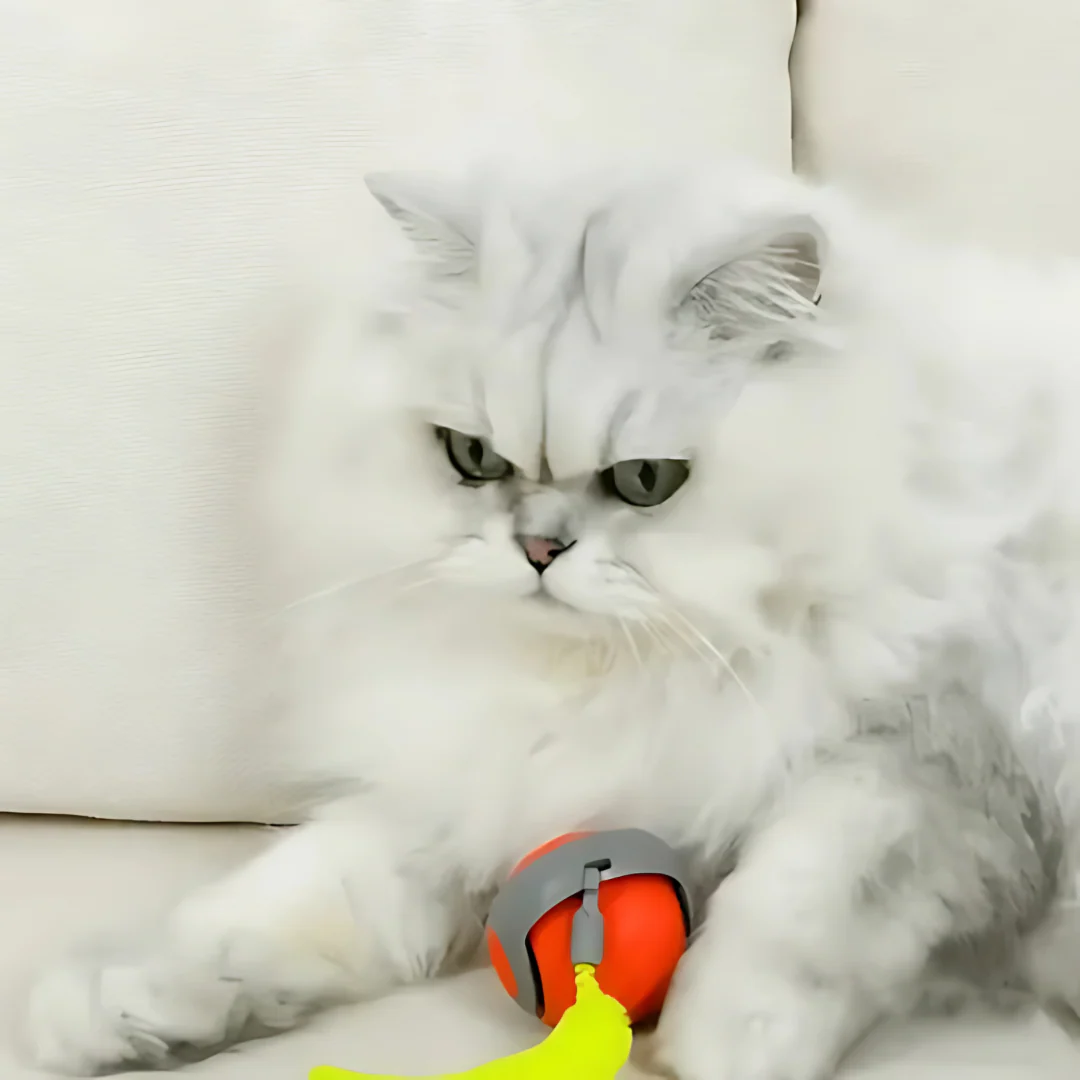 Electric Cat Ball with Fun Tail - Image 6