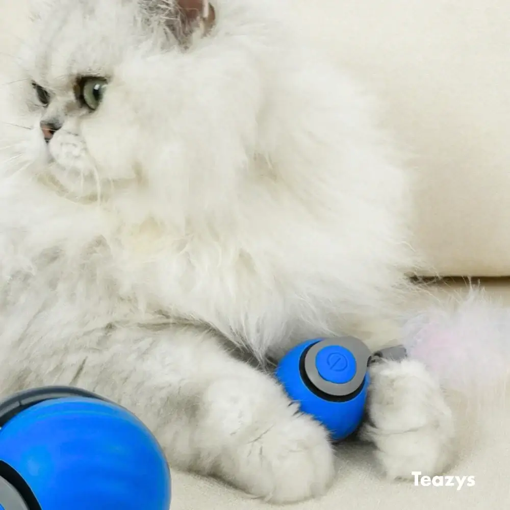 SPEEDY TAIL 2.0 ™‎‎‎‎‎ - Image 6