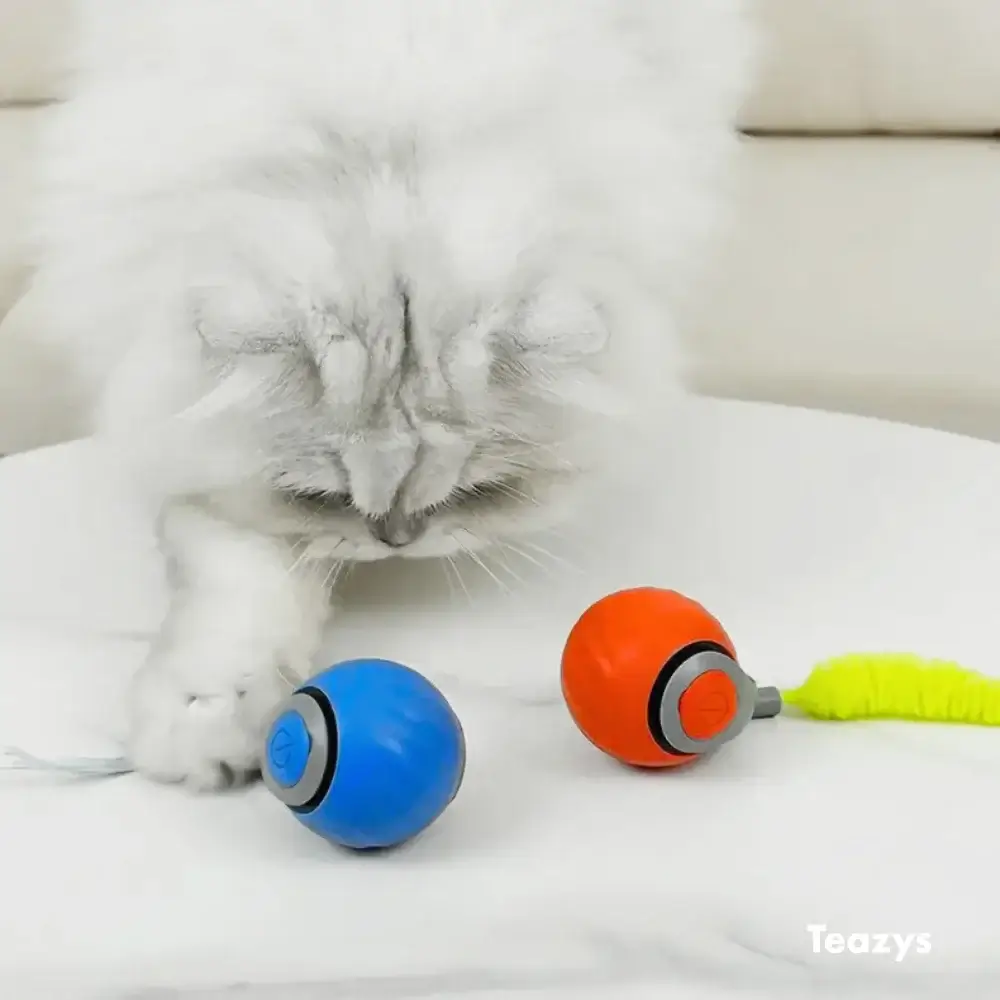 SPEEDY TAIL 2.0 ™‎‎‎‎‎ - Image 7