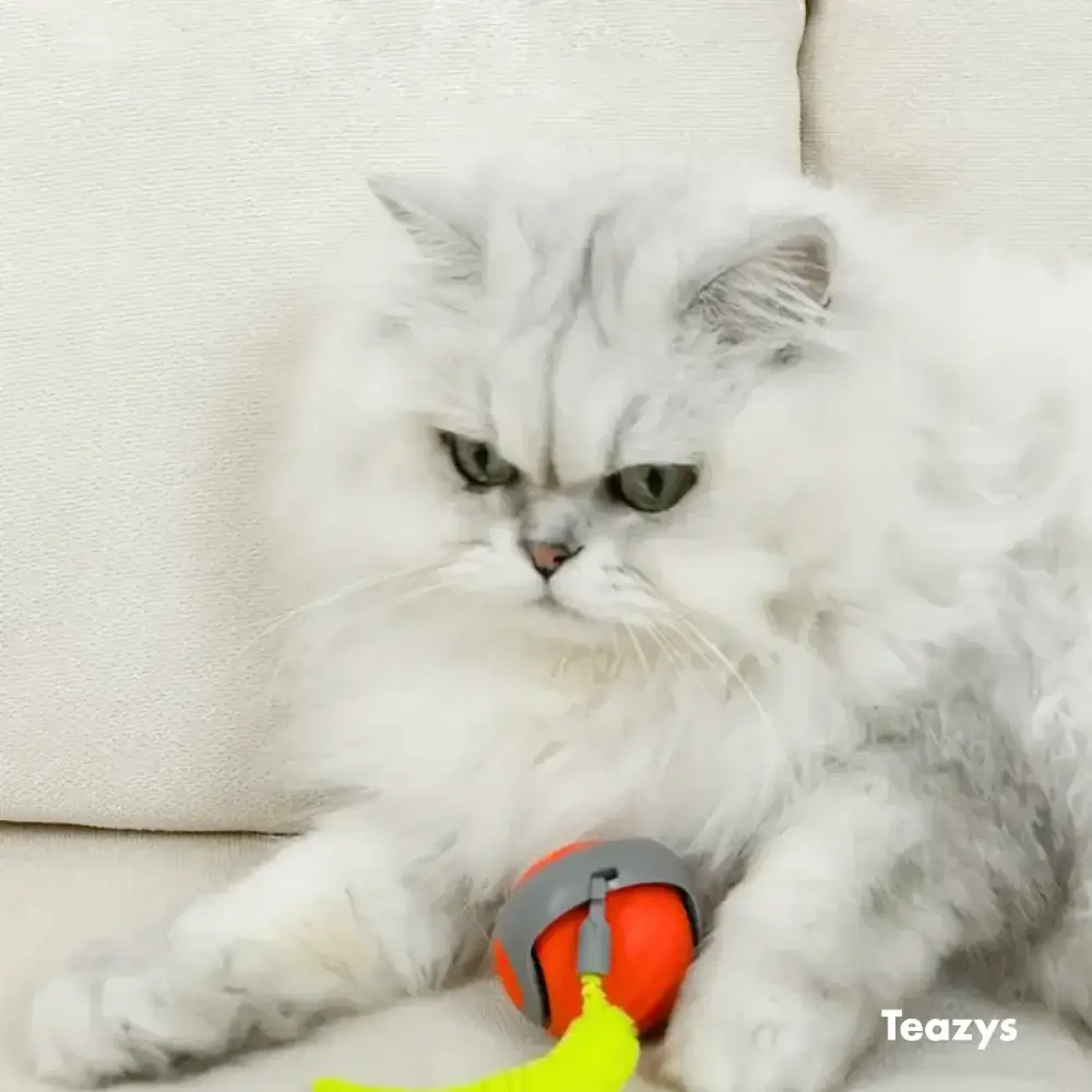 SPEEDY TAIL 2.0 ™‎‎‎‎‎ - Image 8