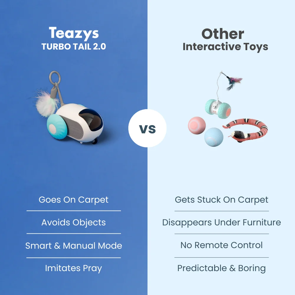 TURBO TAIL 2.0 - Image 6