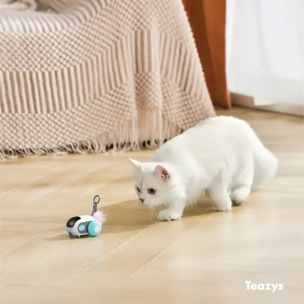 TURBO TAIL 2.0 - Image 8
